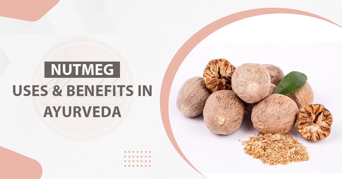 Nutmeg Uses and Benefits in Ayurveda