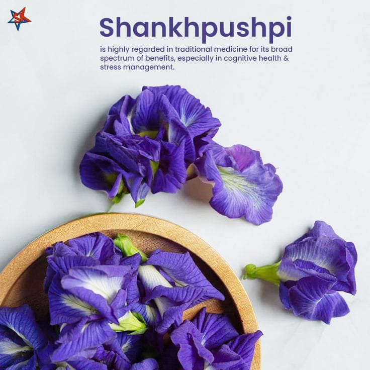 Shankhpushpi Herb: A Pregnancy-Safe Ayurvedic Support for Mind and Mood