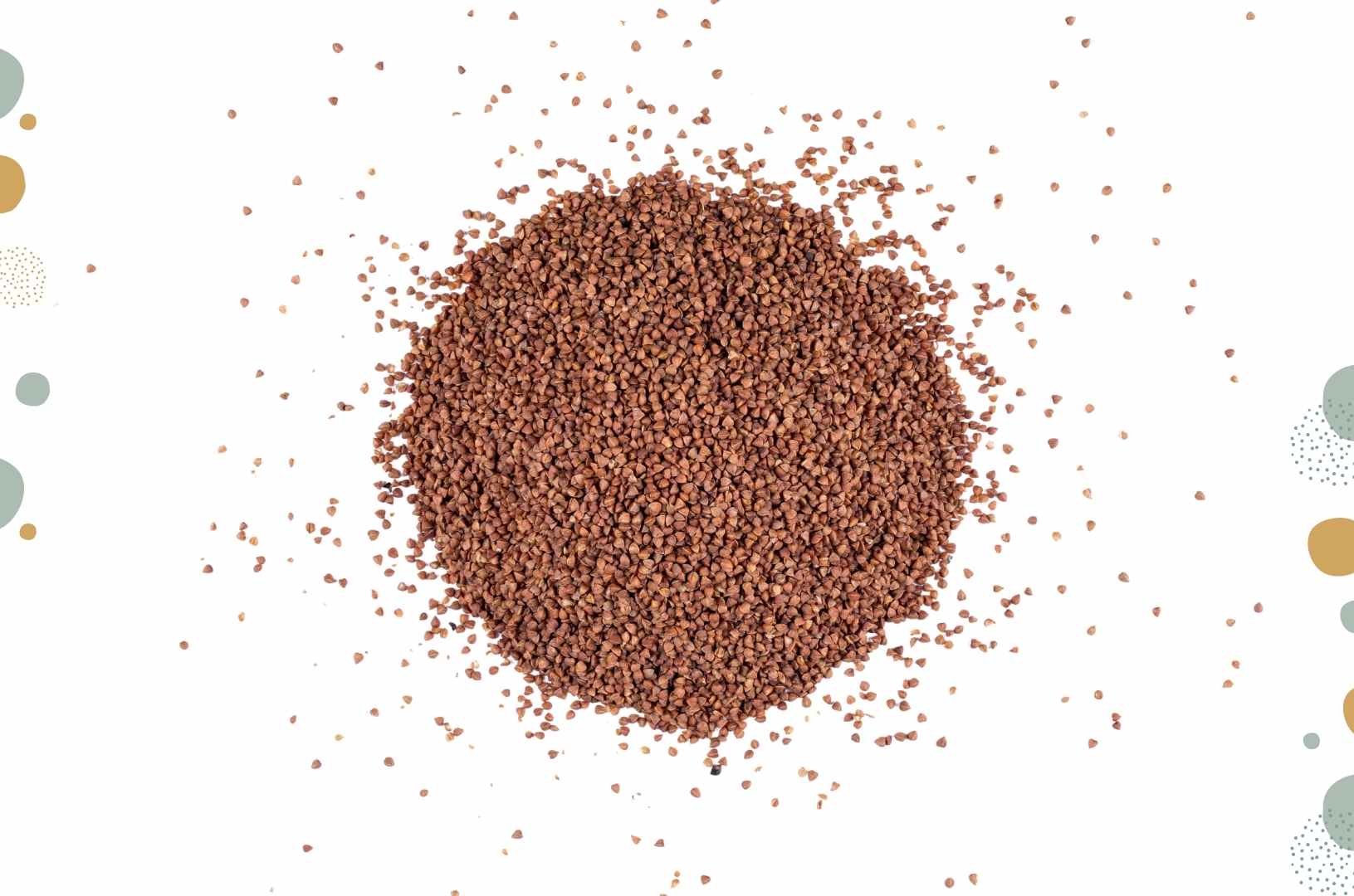 Advantage of having Ragi during pregnancy by Nuskha Kitchen Visit:- https://www.nuskhakitchen.com/