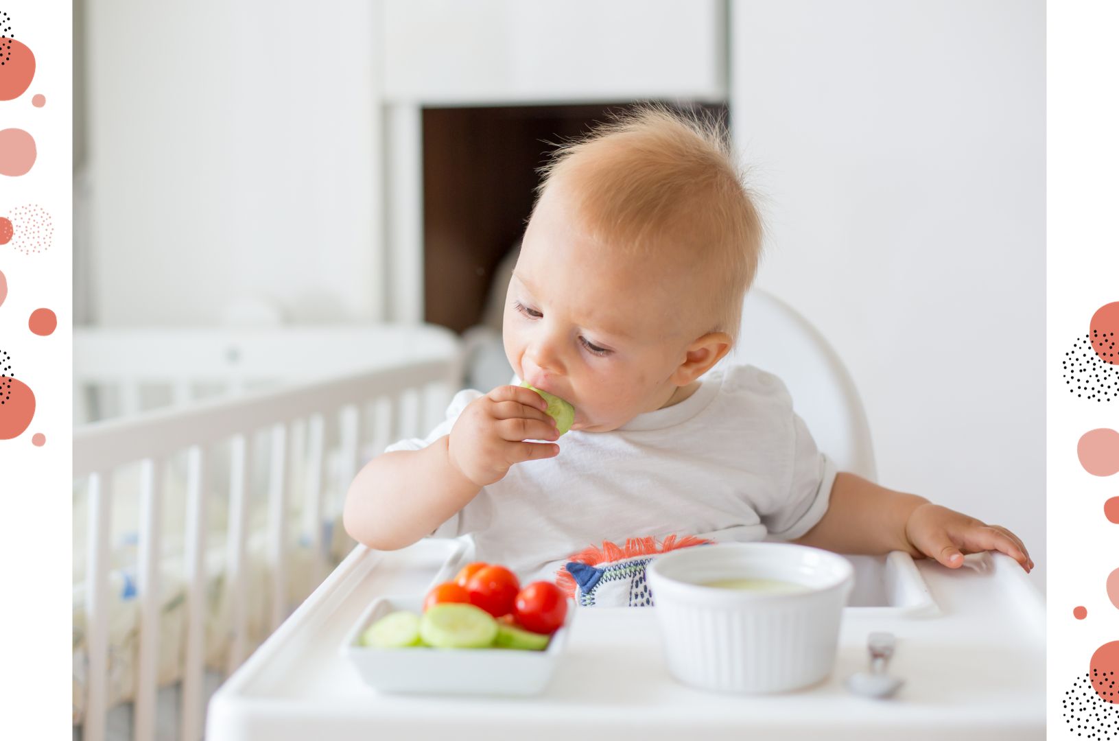 Herbal Baby Food Products 